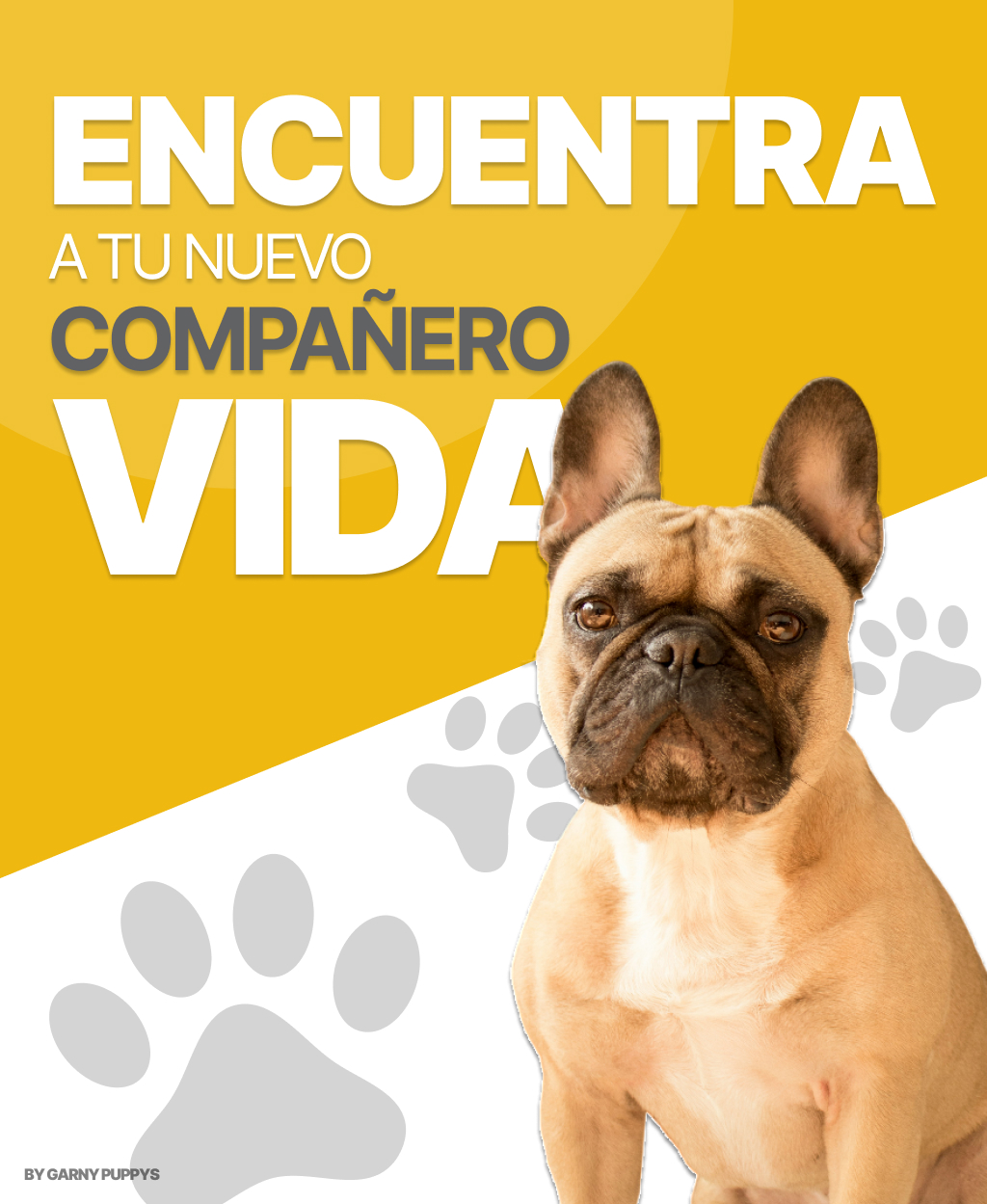 Encuentra tu compañero de vida