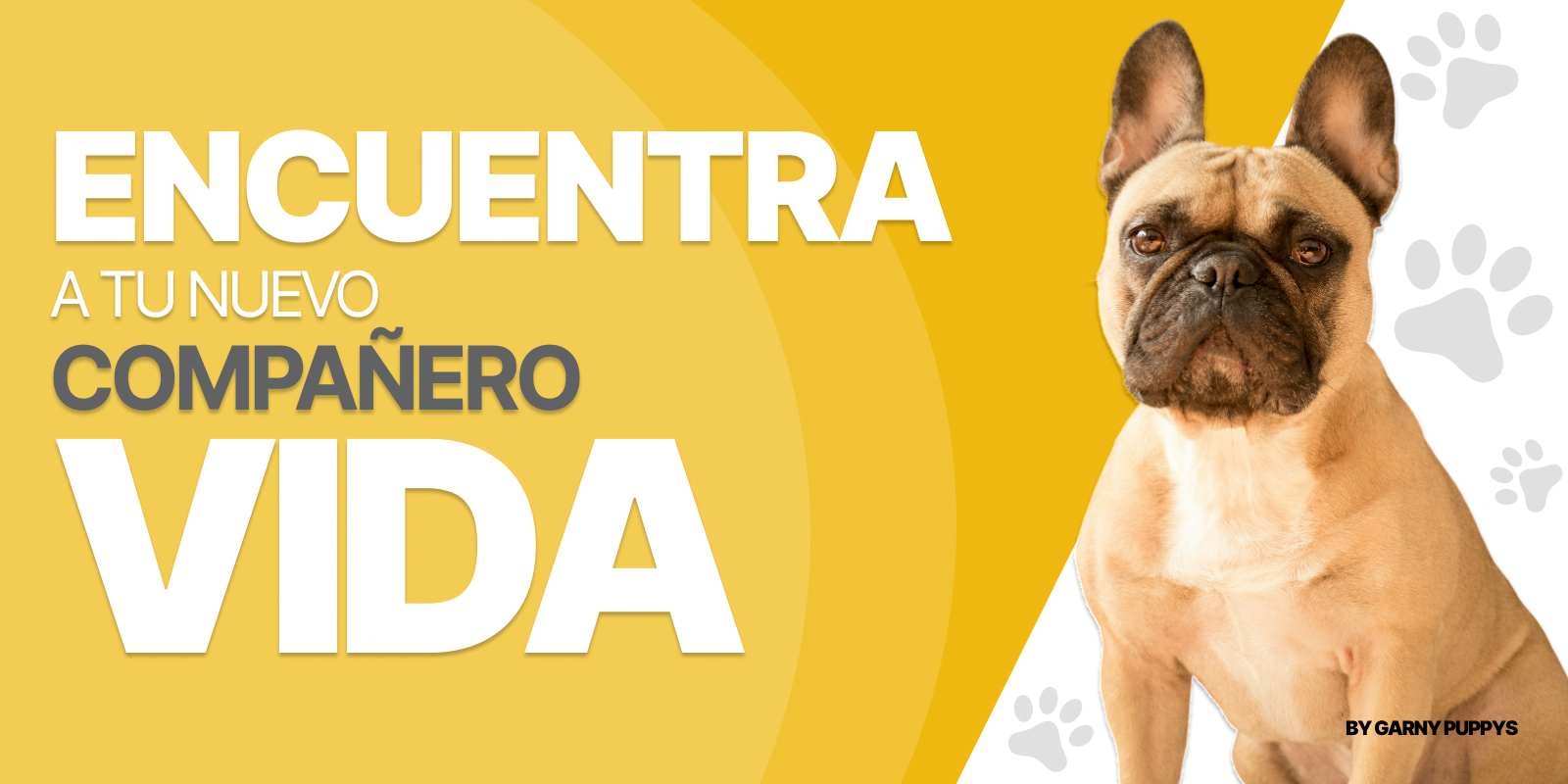 Encuentra tu compañero de vida