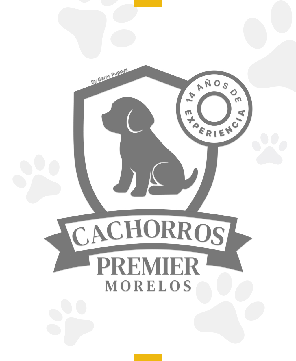 Cachorros Premier Morelos