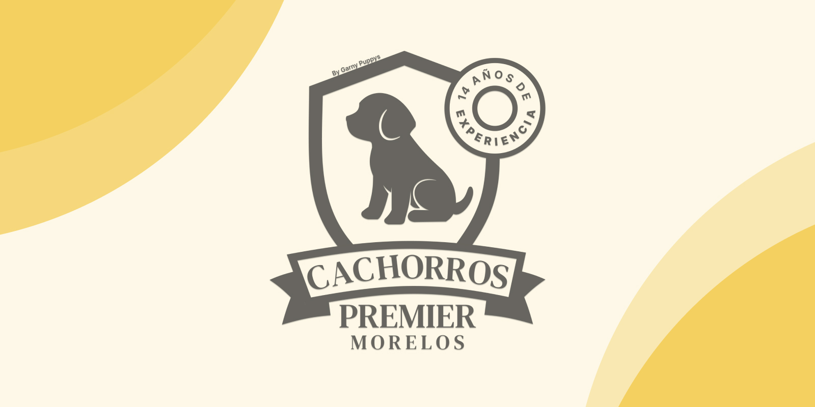 Cachorros Premier Morelos