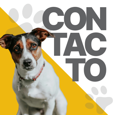 Contacto