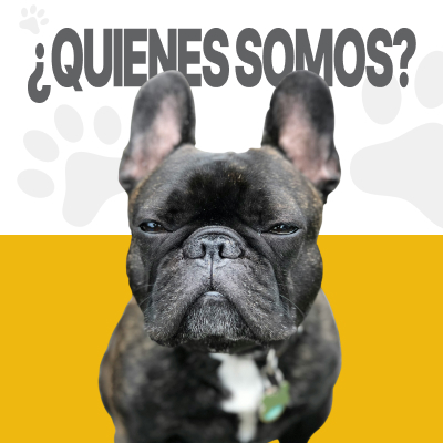 ¿Quienes somos?