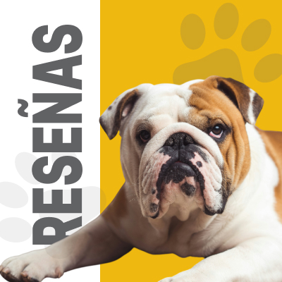Reseñas